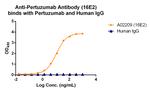 Pertuzumab Antibody in ELISA (ELISA)