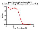 Pertuzumab Antibody in ELISA (ELISA)