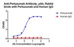 Pertuzumab Antibody in ELISA (ELISA)