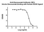 Denosumab Antibody in ELISA (ELISA)
