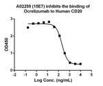 Ocrelizumab Antibody in ELISA (ELISA)