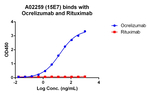 Ocrelizumab Antibody in ELISA (ELISA)