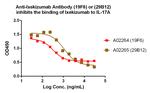 Ixekizumab Antibody in ELISA (ELISA)