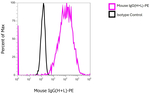 Mouse IgG (H+L) Cross-Adsorbed Secondary Antibody in Flow Cytometry (Flow)