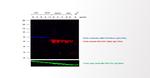 Donkey anti-Mouse IgG (H+L) Highly Cross-Adsorbed Secondary Antibody, Alexa Fluor™ 790