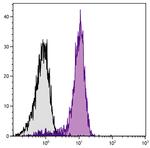 CD31 Antibody in Flow Cytometry (Flow)