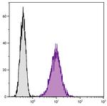 CD80 Antibody in Flow Cytometry (Flow)