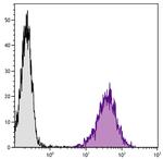 CD80 Antibody in Flow Cytometry (Flow)