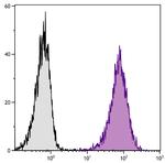 CD80 Antibody in Flow Cytometry (Flow)