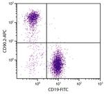 CD90.2 Antibody in Flow Cytometry (Flow)