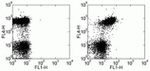 CD150 Antibody in Flow Cytometry (Flow)