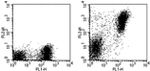 I-A/I-E Antibody in Flow Cytometry (Flow)