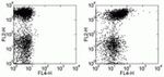 CD150 Antibody in Flow Cytometry (Flow)