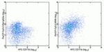 F4/80 Antibody in Flow Cytometry (Flow)