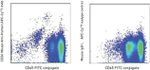 CD34 Antibody in Flow Cytometry (Flow)