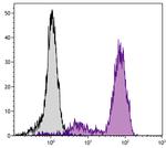 CD44 Antibody in Flow Cytometry (Flow)
