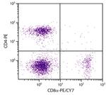 CD8 alpha Antibody in Flow Cytometry (Flow)