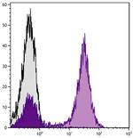 CD11b Antibody in Flow Cytometry (Flow)