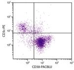 CD38 Antibody in Flow Cytometry (Flow)