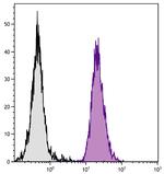 H-2Dd Monoclonal Antibody (34-5-8S), FITC