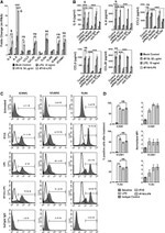 ICAM-1 Antibody in Flow Cytometry (Flow)