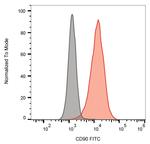 CD90 Monoclonal Antibody (5E10), FITC