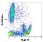 CD36 Antibody in Flow Cytometry (Flow)