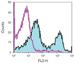 CD3e Antibody in Flow Cytometry (Flow)
