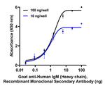Goat IgG (H+L) Cross-Adsorbed Secondary Antibody in ELISA (ELISA)