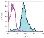 CD44 Antibody in Flow Cytometry (Flow)