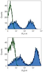 MHC II Antibody in Flow Cytometry (Flow)