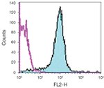 CD31 Antibody in Flow Cytometry (Flow)