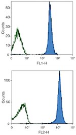 CD45.1 Antibody in Flow Cytometry (Flow)