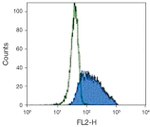 E-selectin Antibody in Flow Cytometry (Flow)