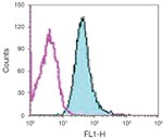 CD98 Antibody in Flow Cytometry (Flow)