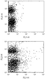 c-Kit Antibody in Flow Cytometry (Flow)