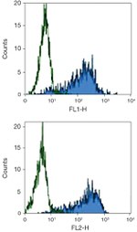 CD86 Antibody in Flow Cytometry (Flow)