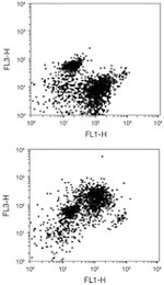 CD93 Antibody in Flow Cytometry (Flow)