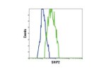 SHIP2 Antibody in Flow Cytometry (Flow)