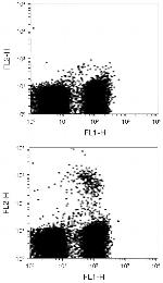 TCR gamma/delta Antibody in Flow Cytometry (Flow)