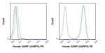 GARP Antibody in Flow Cytometry (Flow)