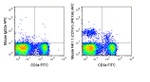 NK1.1 Antibody in Flow Cytometry (Flow)
