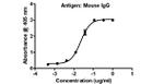 Mouse IgG (H+L) Secondary Antibody in ELISA (ELISA)