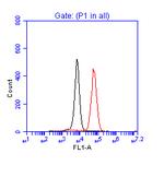 p53 Antibody in Flow Cytometry (Flow)