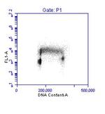 PCNA Antibody in Flow Cytometry (Flow)