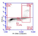 Phospho-Histone H3 (Ser10) Antibody in Flow Cytometry (Flow)