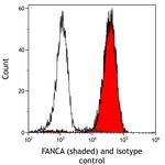 FANCA Antibody in Flow Cytometry (Flow)