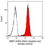 BRD7 Antibody in Flow Cytometry (Flow)
