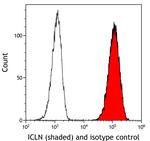 ICLN Antibody in Flow Cytometry (Flow)