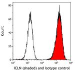ICLN Antibody in Flow Cytometry (Flow)